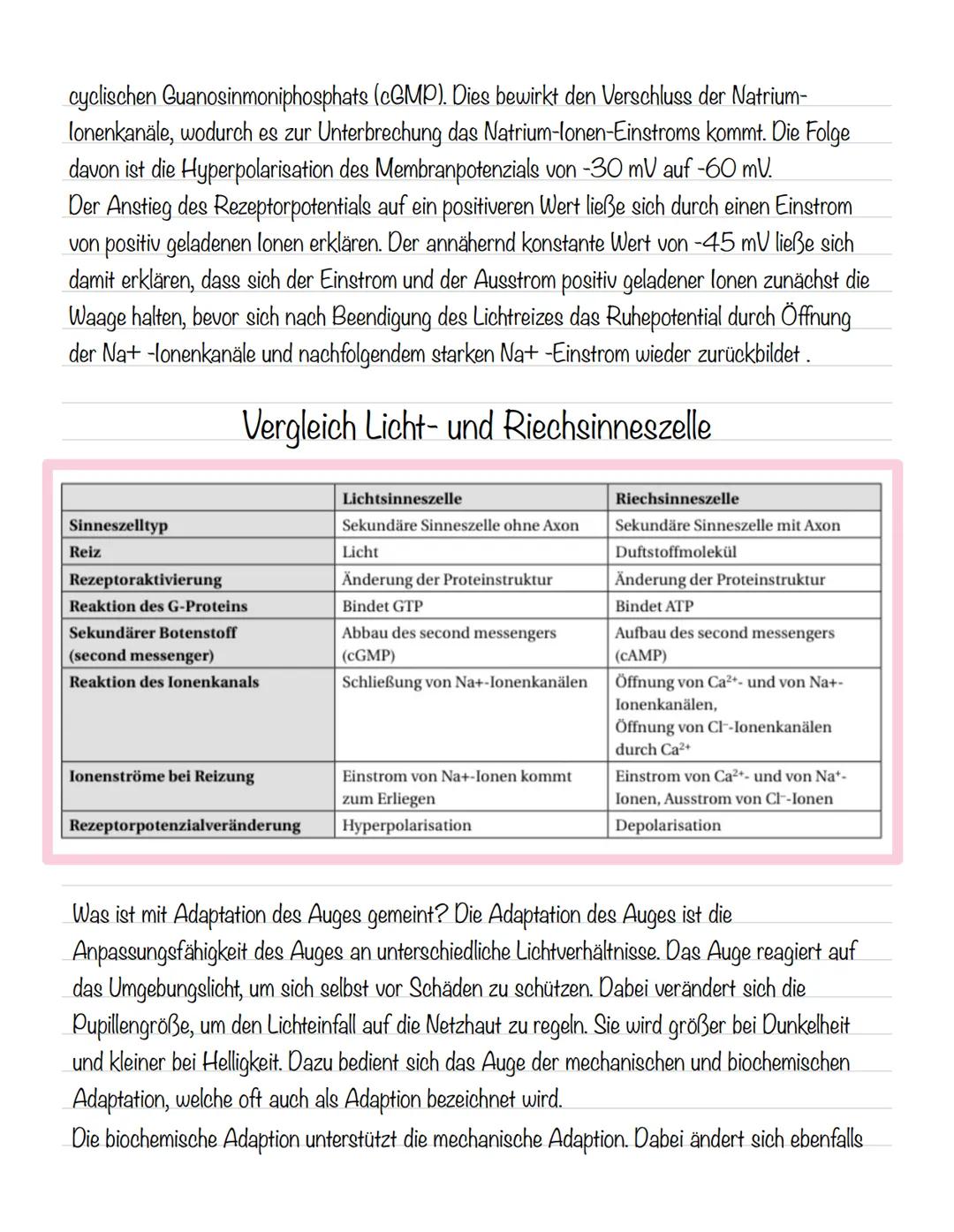  Skizze einer Nervenzelle:
Nervenzellen und Nervensysteme
Signalaufnahme Dendriten
Signalauslösung Soma (Zellkörper)
Signalweiterleitung
Sig