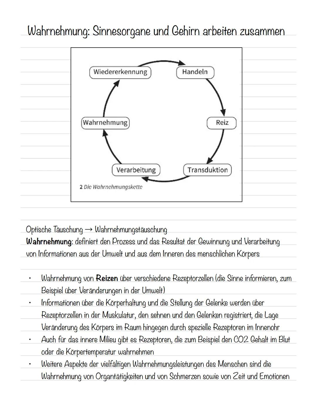  Skizze einer Nervenzelle:
Nervenzellen und Nervensysteme
Signalaufnahme Dendriten
Signalauslösung Soma (Zellkörper)
Signalweiterleitung
Sig