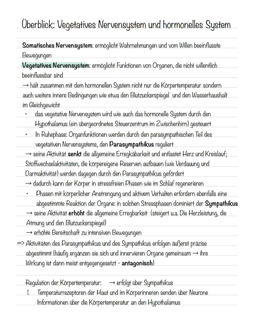  Skizze einer Nervenzelle:
Nervenzellen und Nervensysteme
Signalaufnahme Dendriten
Signalauslösung Soma (Zellkörper)
Signalweiterleitung
Sig