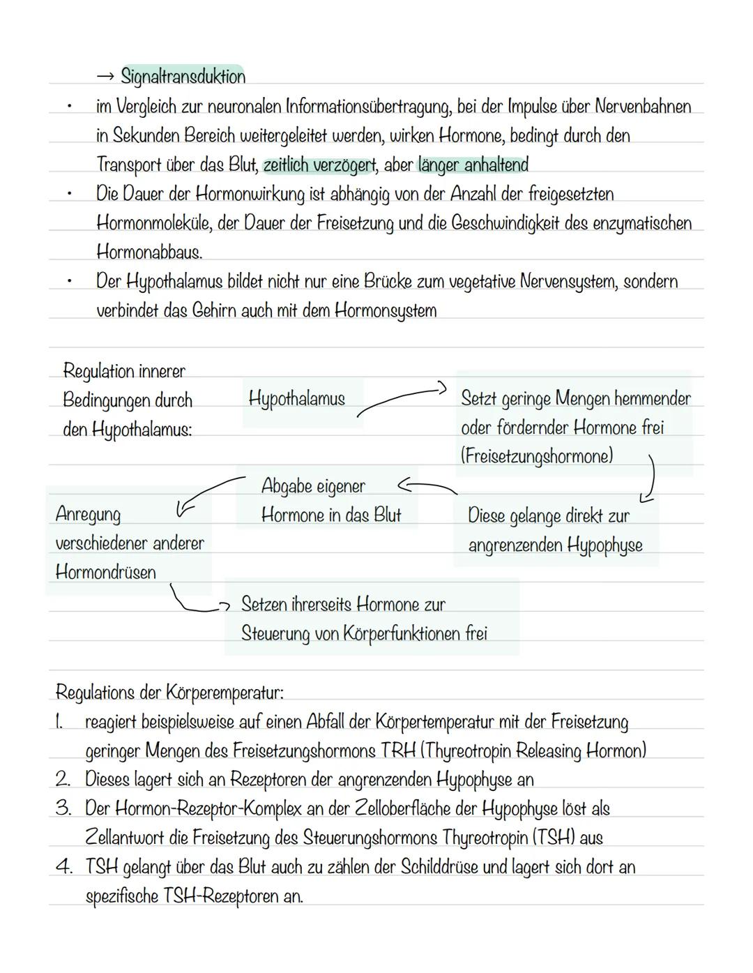  Skizze einer Nervenzelle:
Nervenzellen und Nervensysteme
Signalaufnahme Dendriten
Signalauslösung Soma (Zellkörper)
Signalweiterleitung
Sig