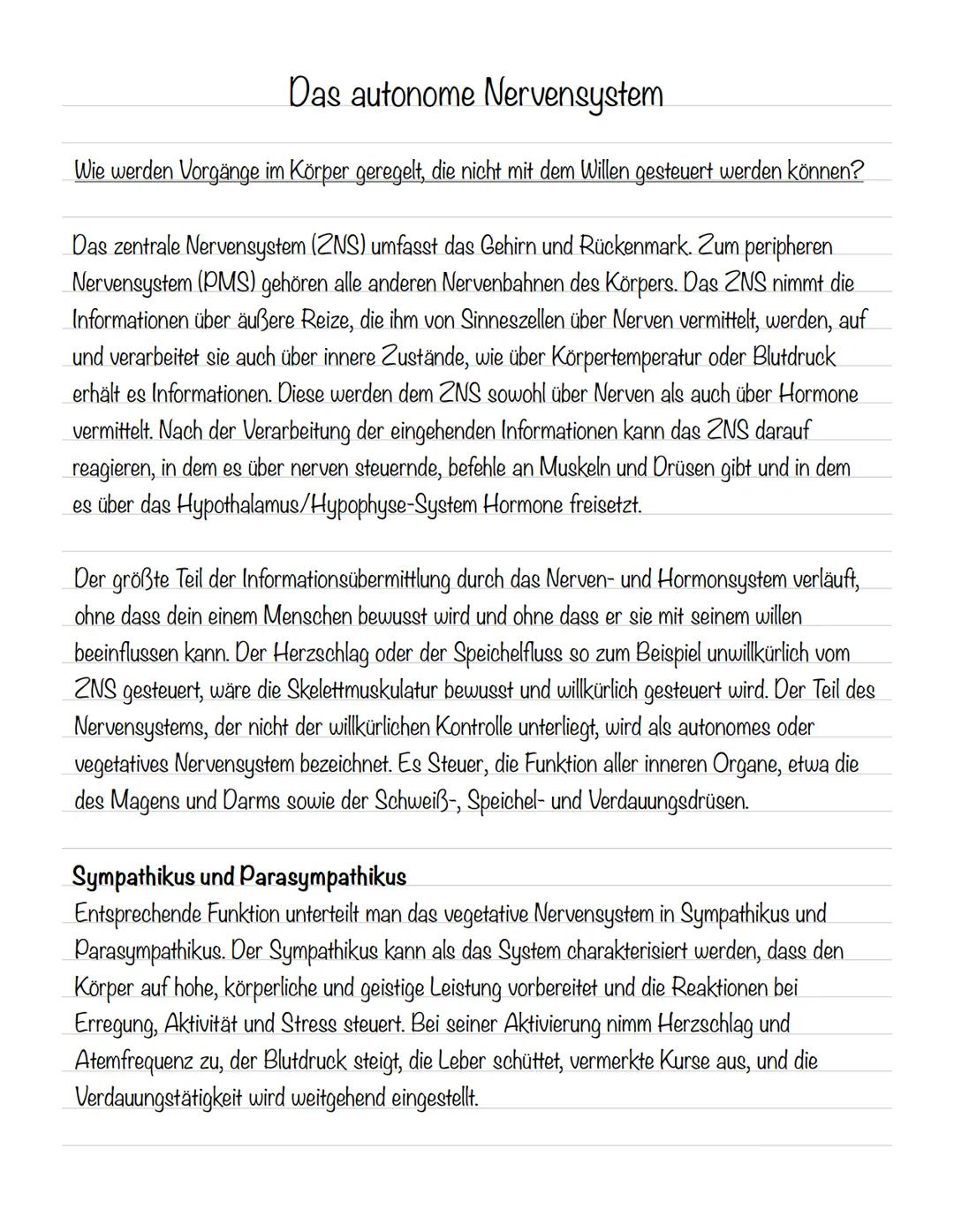  Skizze einer Nervenzelle:
Nervenzellen und Nervensysteme
Signalaufnahme Dendriten
Signalauslösung Soma (Zellkörper)
Signalweiterleitung
Sig