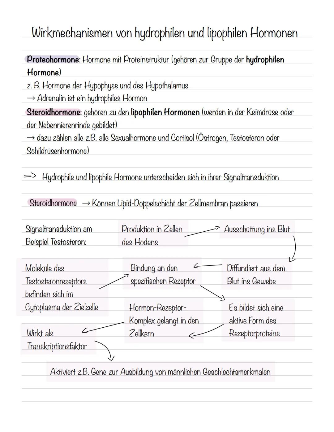  Skizze einer Nervenzelle:
Nervenzellen und Nervensysteme
Signalaufnahme Dendriten
Signalauslösung Soma (Zellkörper)
Signalweiterleitung
Sig