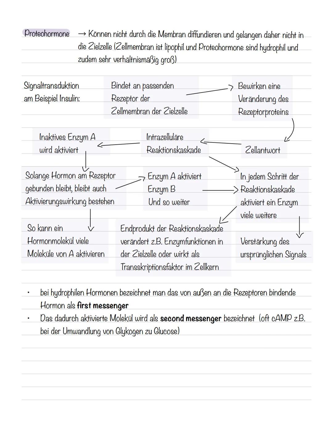  Skizze einer Nervenzelle:
Nervenzellen und Nervensysteme
Signalaufnahme Dendriten
Signalauslösung Soma (Zellkörper)
Signalweiterleitung
Sig