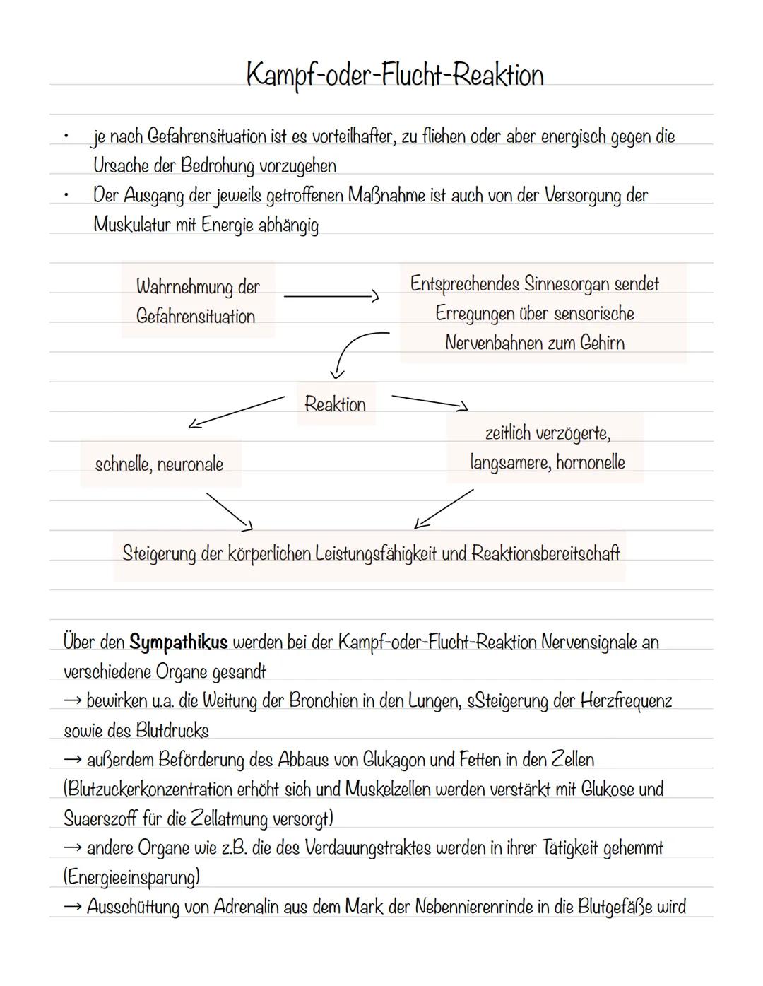  Skizze einer Nervenzelle:
Nervenzellen und Nervensysteme
Signalaufnahme Dendriten
Signalauslösung Soma (Zellkörper)
Signalweiterleitung
Sig