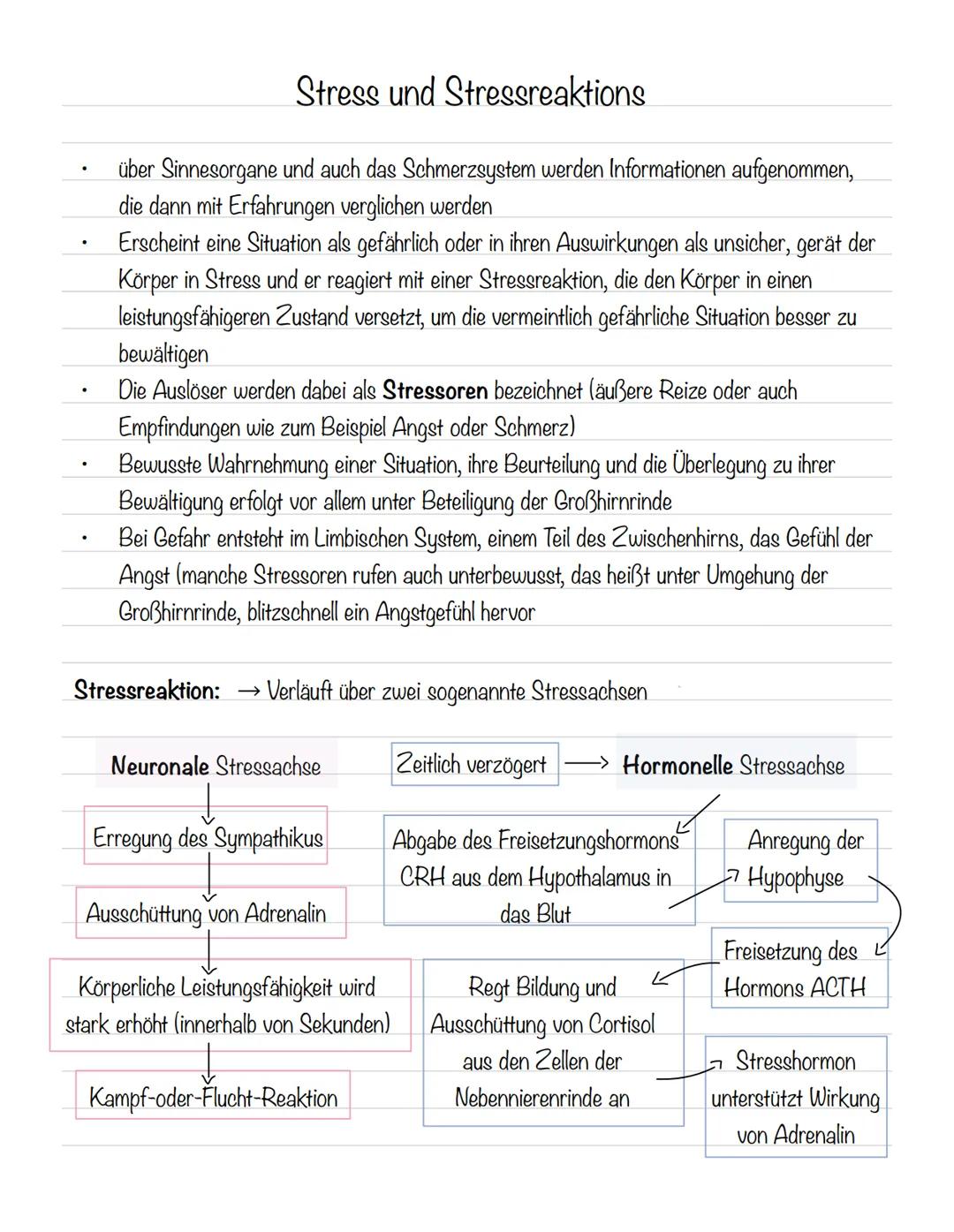  Skizze einer Nervenzelle:
Nervenzellen und Nervensysteme
Signalaufnahme Dendriten
Signalauslösung Soma (Zellkörper)
Signalweiterleitung
Sig