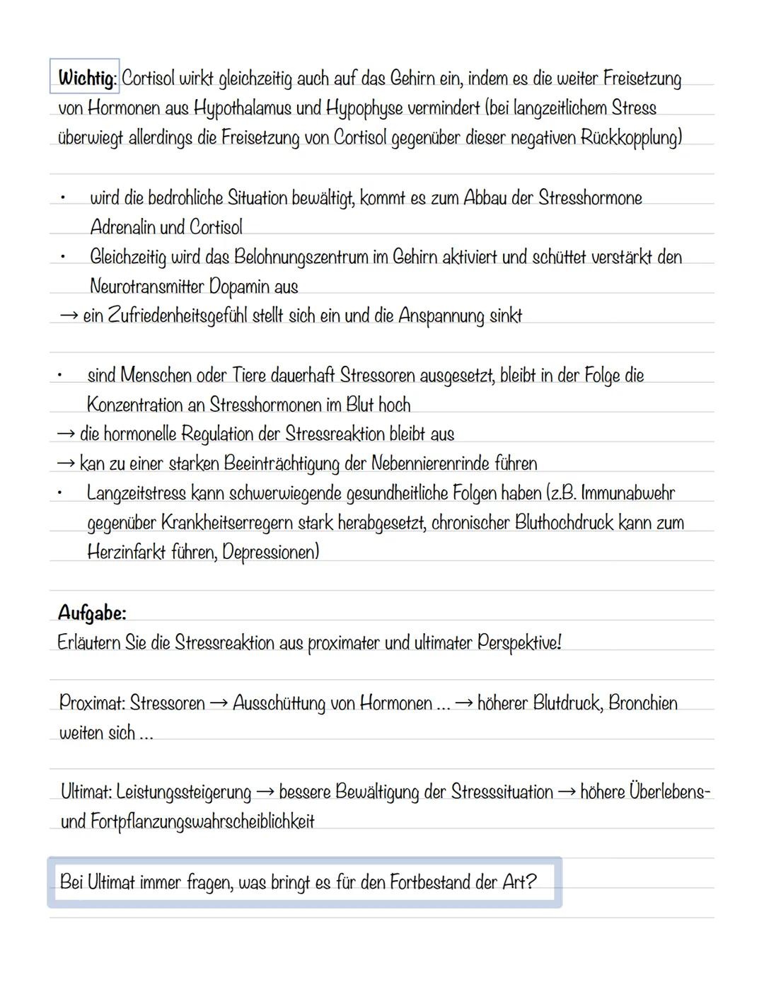  Skizze einer Nervenzelle:
Nervenzellen und Nervensysteme
Signalaufnahme Dendriten
Signalauslösung Soma (Zellkörper)
Signalweiterleitung
Sig