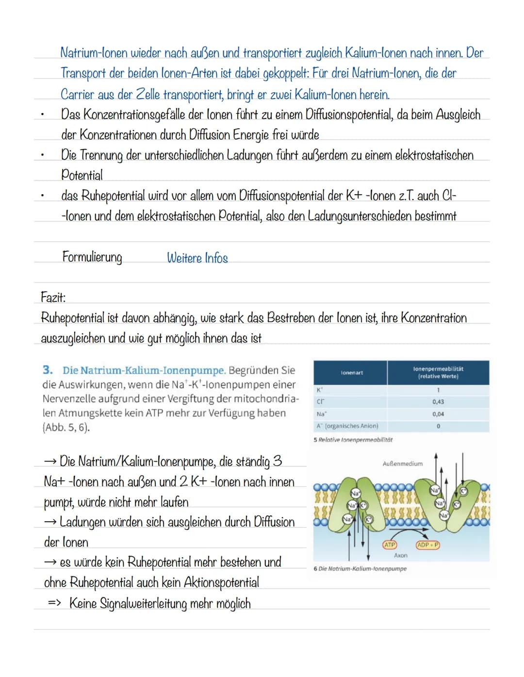  Skizze einer Nervenzelle:
Nervenzellen und Nervensysteme
Signalaufnahme Dendriten
Signalauslösung Soma (Zellkörper)
Signalweiterleitung
Sig