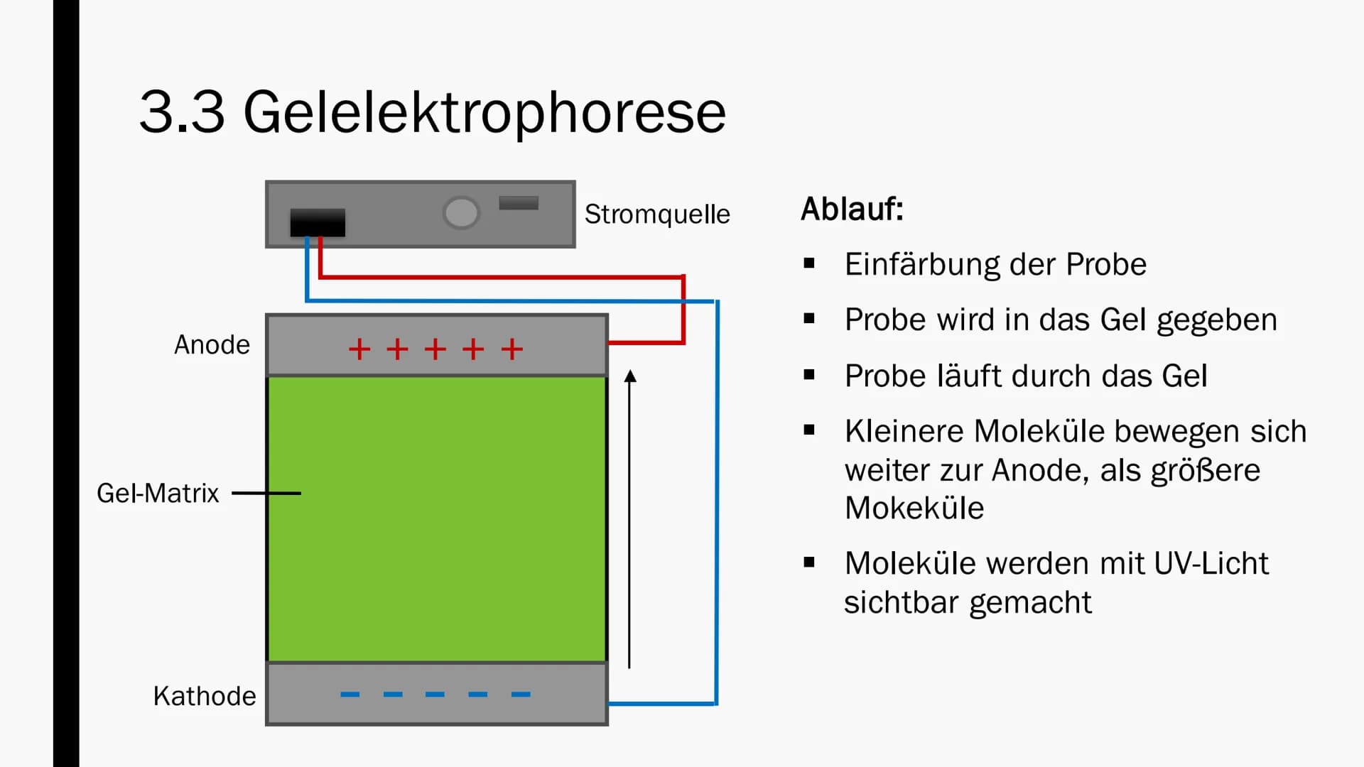 GENETISCHER
FINGERABDRUCK
Von Maya Zorn Gliederung
1. Allgemeine Informationen
2. Anwendungsbereiche
3. Durchführung
3.1 PCR-Methode
3.2
3.3