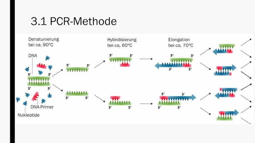 GENETISCHER
FINGERABDRUCK
Von Maya Zorn Gliederung
1. Allgemeine Informationen
2. Anwendungsbereiche
3. Durchführung
3.1 PCR-Methode
3.2
3.3