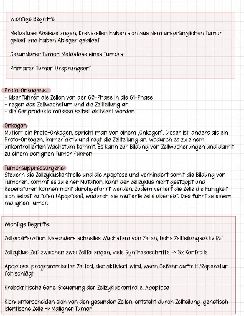 Tumore
Tumor: Eine benigne (gutartig) oder maligne (bösartig) Neubildung (Neoplasie) von
Körpergewebe, die durch eine Fehlregulation des Zel