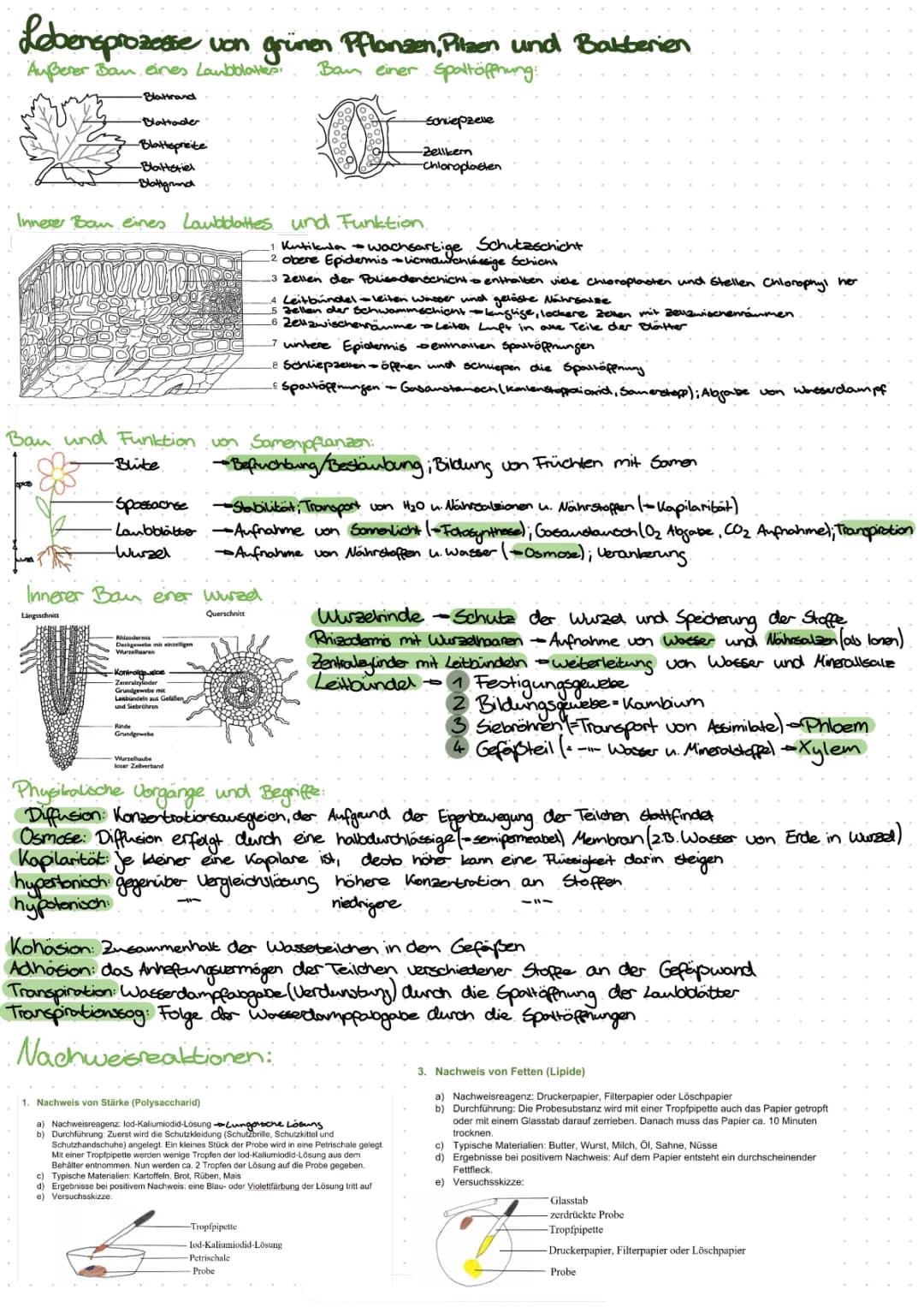 Blf Biologie Thüringen 