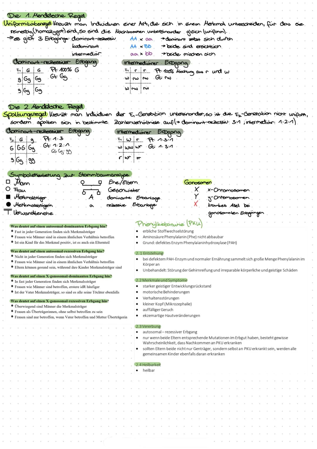 Lebensprozesse
Außerer Bau eines Laubblattes:
-Blattrand
-Blattader
-Blattspreite
-Blattstiel
-Blattgrund
Innerer Bau eines Laubblattes und 
