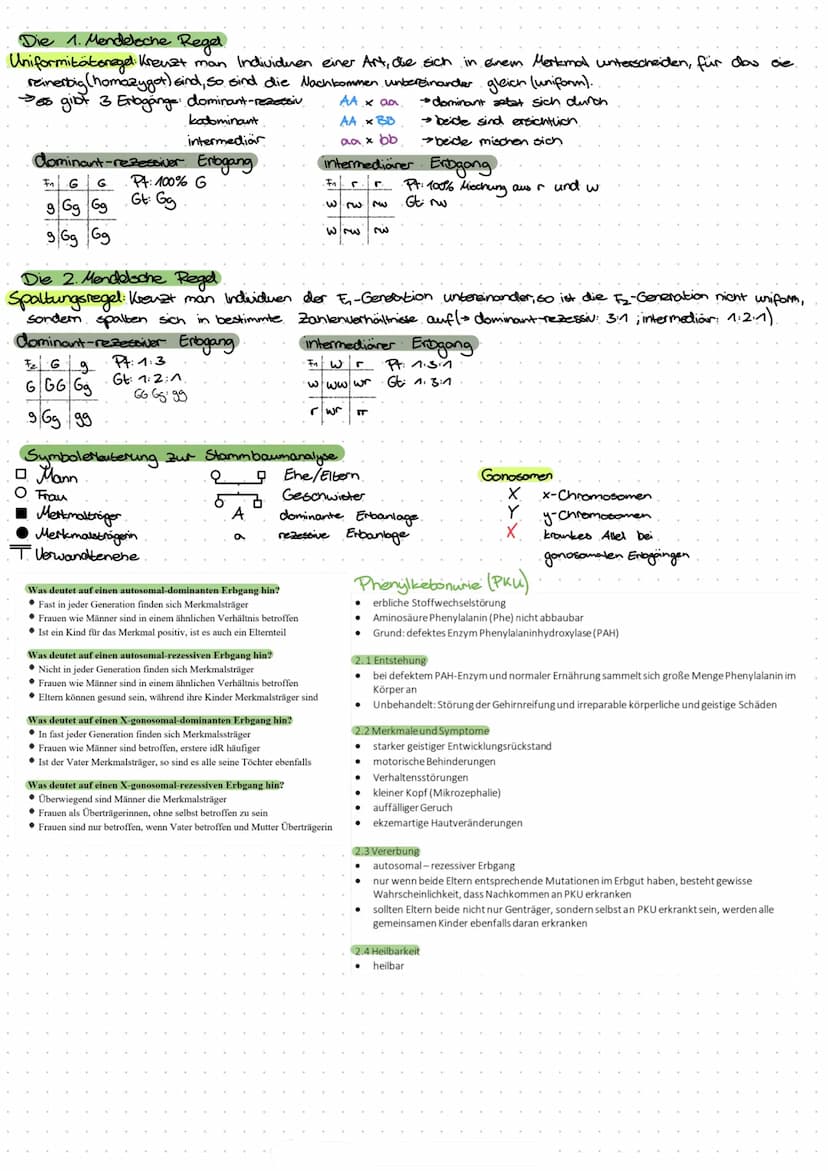 Lebensprozesse
Außerer Bau eines Laubblattes:
-Blattrand
-Blattader
-Blattspreite
-Blattstiel
-Blattgrund
Innerer Bau eines Laubblattes und 