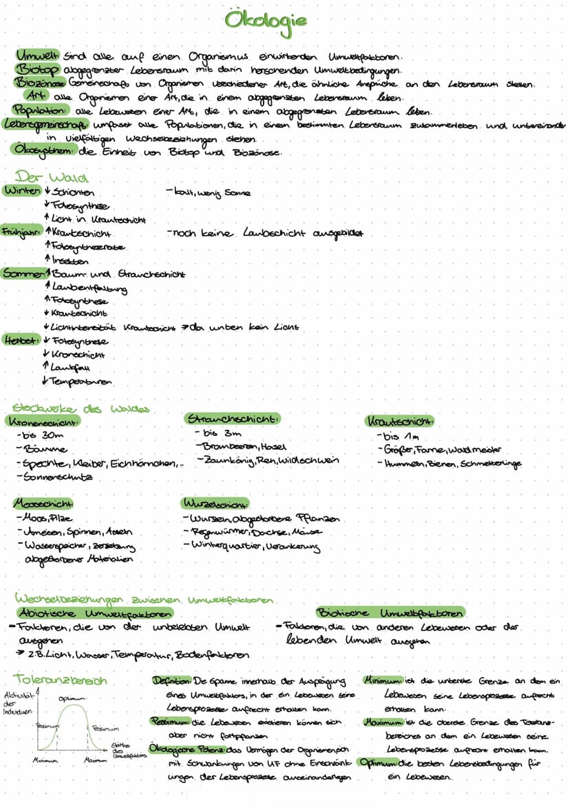 Lebensprozesse
Außerer Bau eines Laubblattes:
-Blattrand
-Blattader
-Blattspreite
-Blattstiel
-Blattgrund
Innerer Bau eines Laubblattes und 