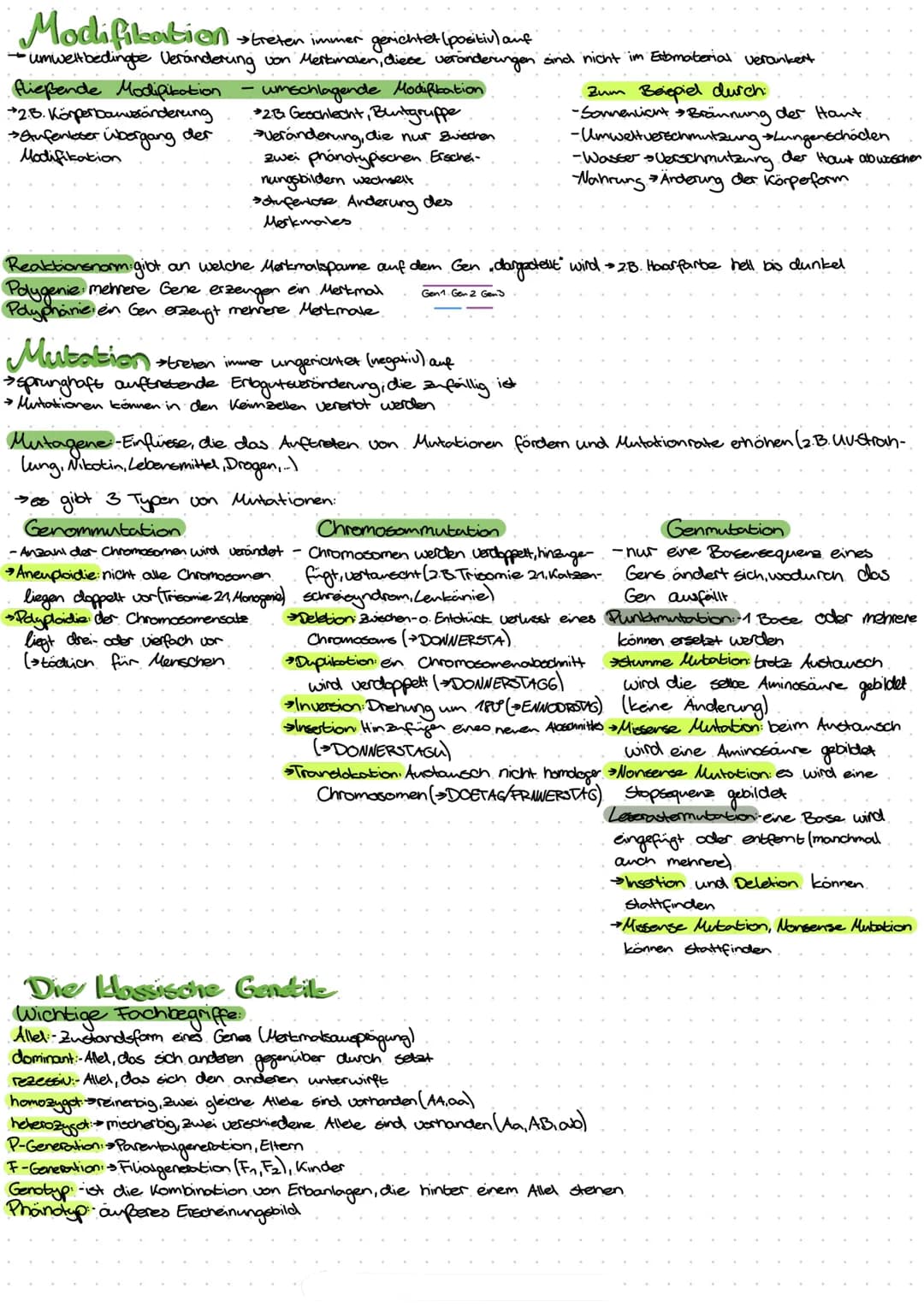 Lebensprozesse
Außerer Bau eines Laubblattes:
-Blattrand
-Blattader
-Blattspreite
-Blattstiel
-Blattgrund
Innerer Bau eines Laubblattes und 