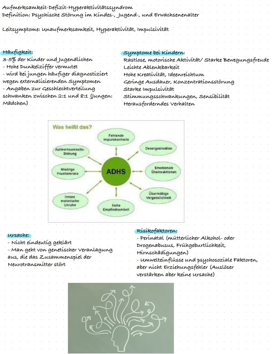 ⒸLifeline
Aufmerksamkeitsdefizit-
Hyperaktivitätsstörung
(ADHS)
ADHS und ADS: Was ist der Unterschied?
zappelig
überdreht
impulsiv
ADHS
schn