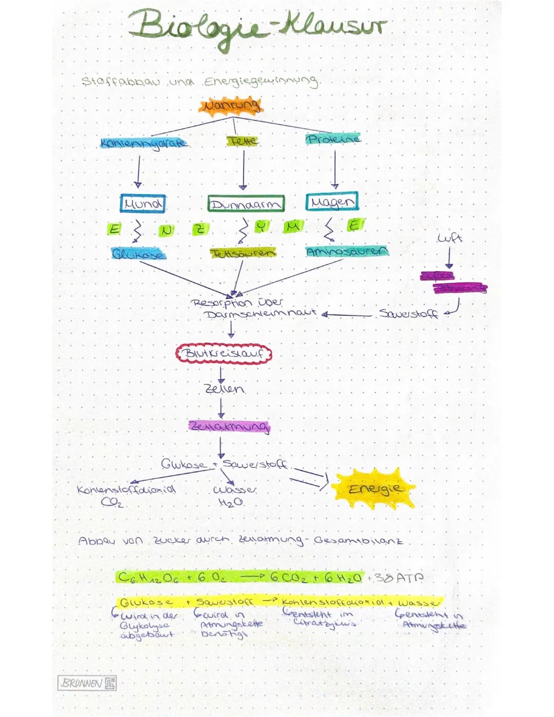 Biologie - Klausur
Stoffabbau und Energie
Nahrung
Mund
Kohlenstoffo
BRUNNEN
Fette
Dunndarm
Resorption uper
Darms
Blutkreislauf
Zellen
Glukos