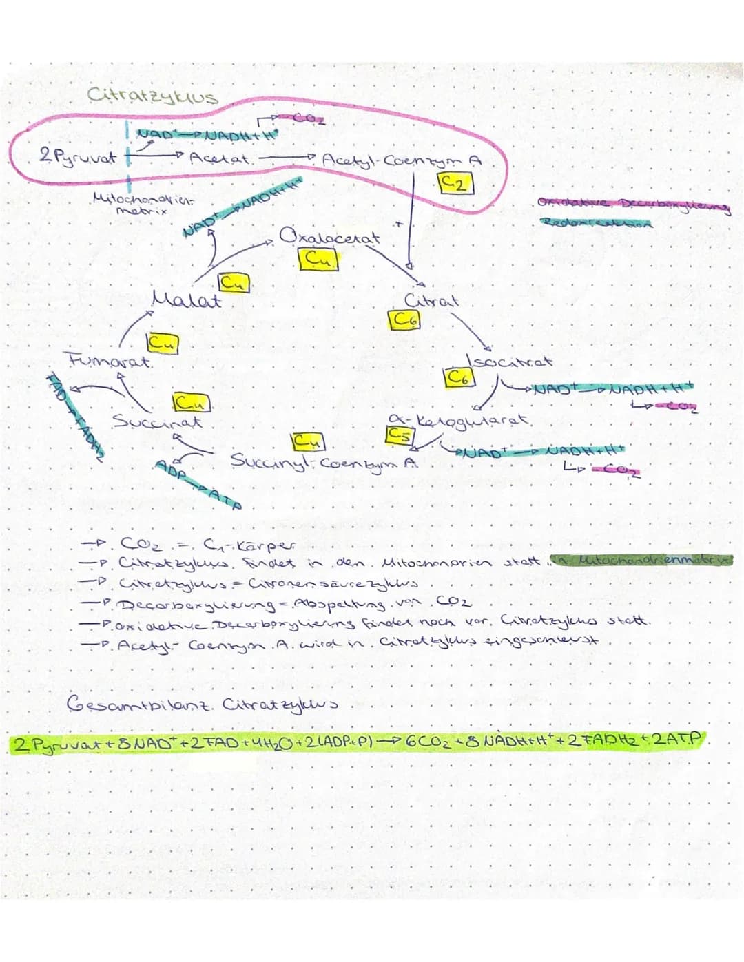 Biologie - Klausur
Stoffabbau und Energie
Nahrung
Mund
Kohlenstoffo
BRUNNEN
Fette
Dunndarm
Resorption uper
Darms
Blutkreislauf
Zellen
Glukos