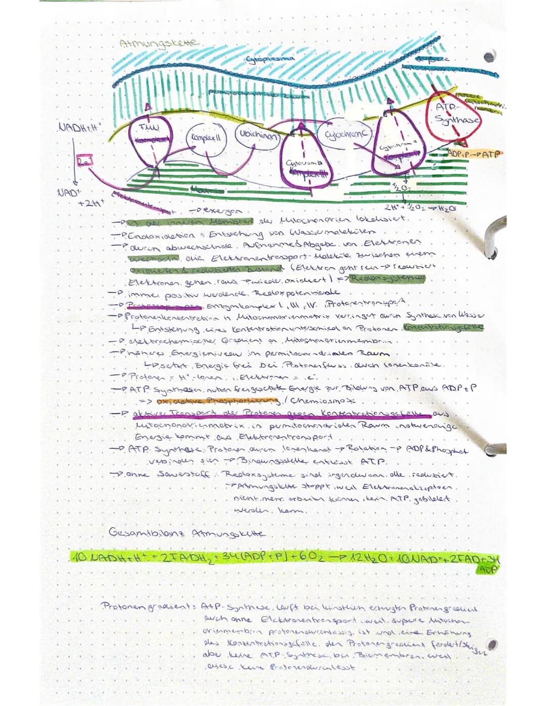 Biologie - Klausur
Stoffabbau und Energie
Nahrung
Mund
Kohlenstoffo
BRUNNEN
Fette
Dunndarm
Resorption uper
Darms
Blutkreislauf
Zellen
Glukos