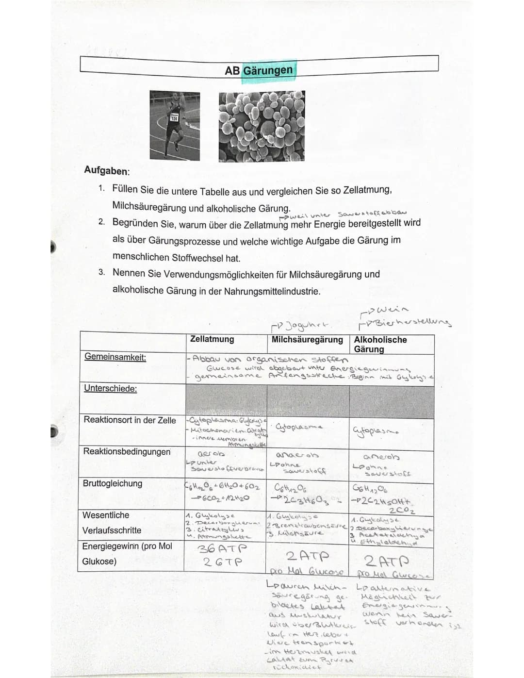 Biologie - Klausur
Stoffabbau und Energie
Nahrung
Mund
Kohlenstoffo
BRUNNEN
Fette
Dunndarm
Resorption uper
Darms
Blutkreislauf
Zellen
Glukos