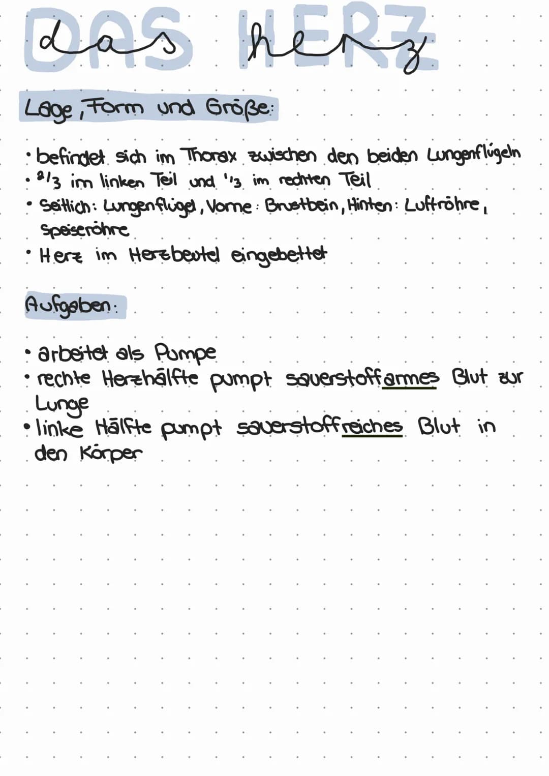 ممه
das henz
Lage, Form und Größe:
• befindet sich im Thorax zwischen den beiden Lungenflugeln
2/3 im linken Teil und '13 im rechten Teil
•S