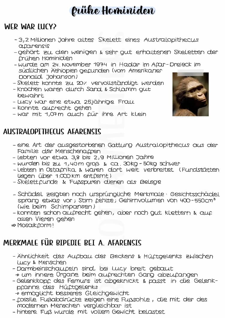 Know Frühe Hominiden am Beispiel Lucy | Humanevolution  thumbnail