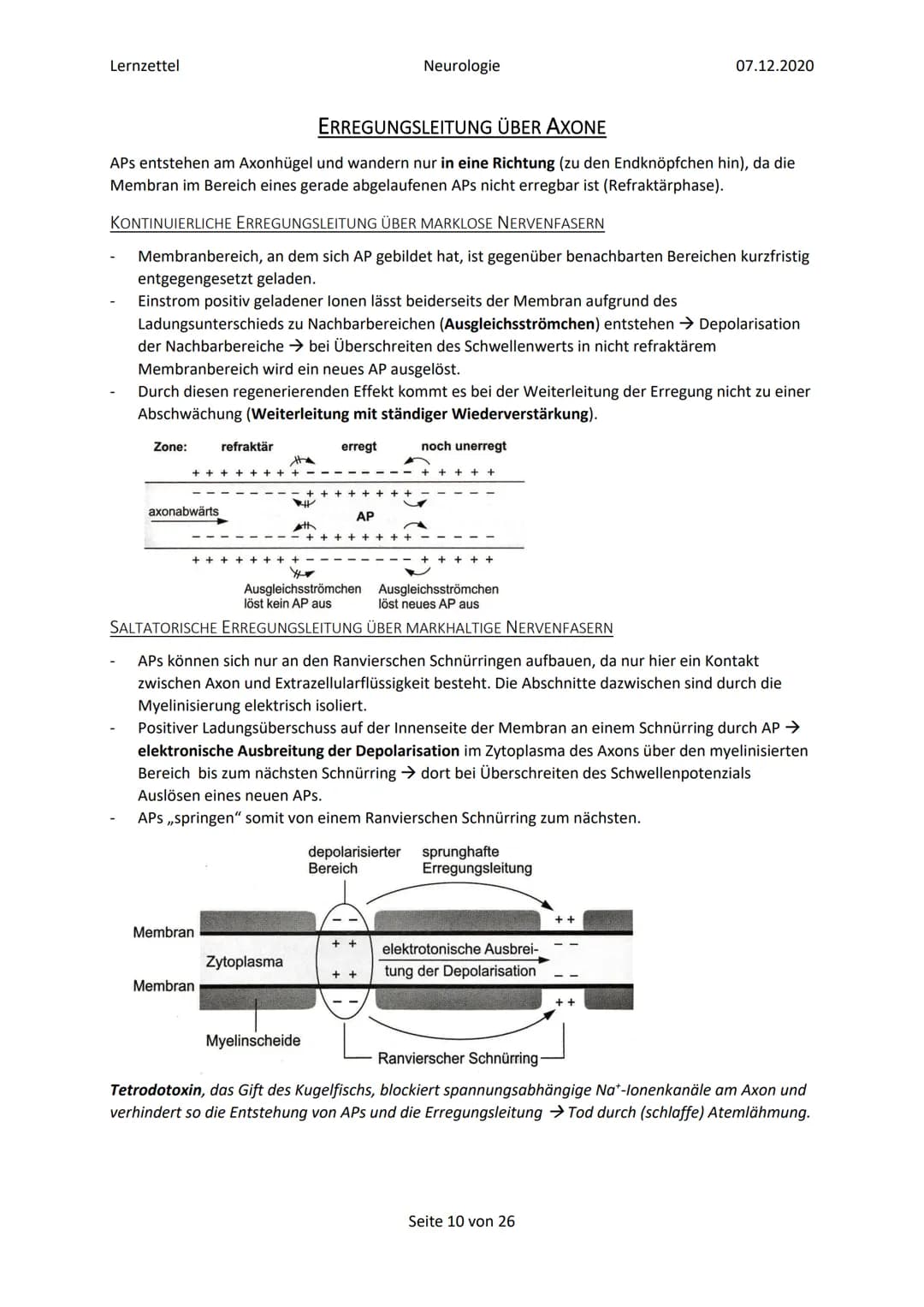 Lernzettel
Inhalt
Glossar
Elektrochemische Vorgänge in Nervenzellen..
Bau und grundlegende Funktion einer Nervenzelle...
Ruhepotenzial......