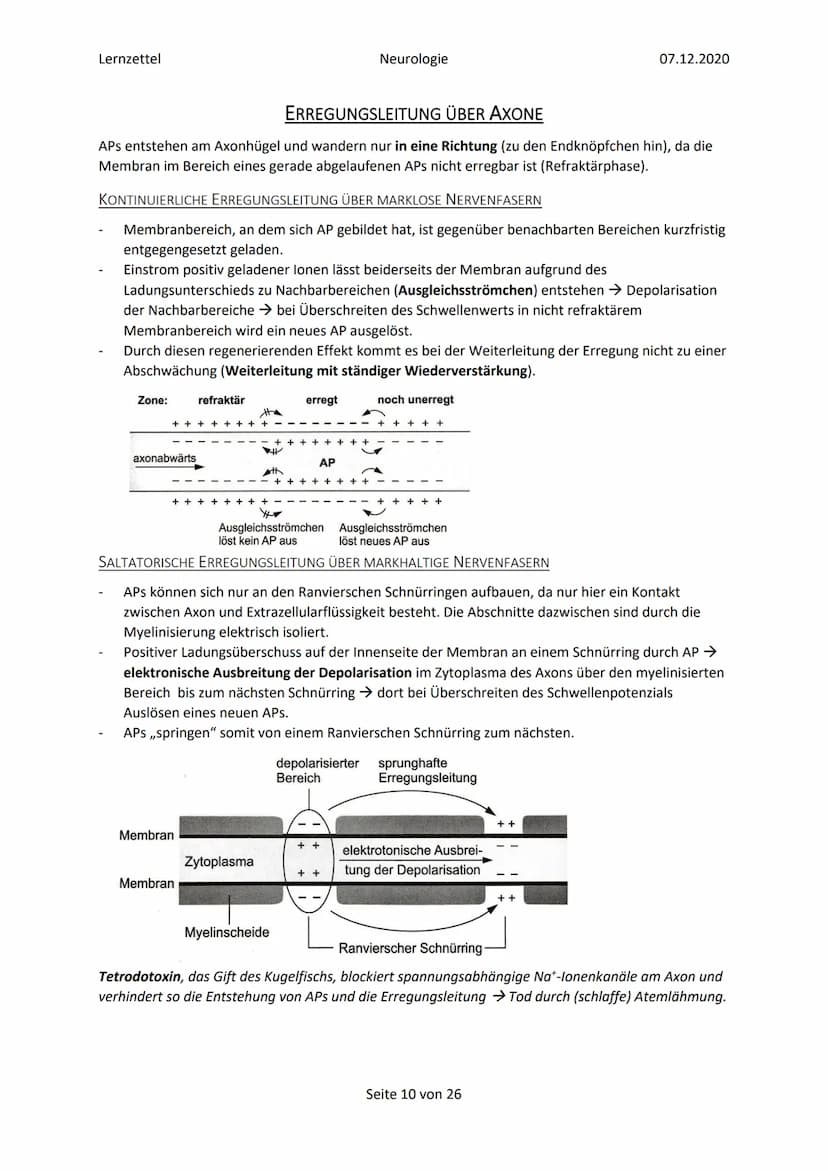 Lernzettel
Inhalt
Glossar
Elektrochemische Vorgänge in Nervenzellen..
Bau und grundlegende Funktion einer Nervenzelle...
Ruhepotenzial......