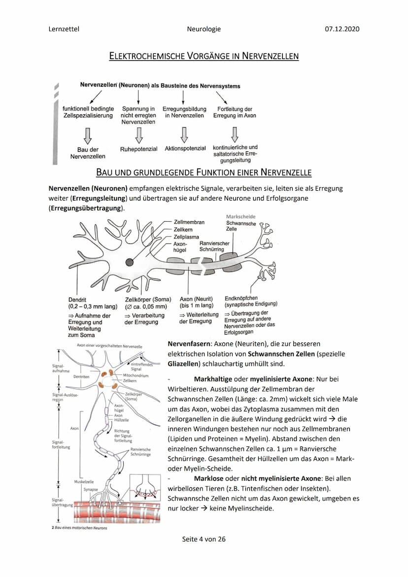 Lernzettel
Inhalt
Glossar
Elektrochemische Vorgänge in Nervenzellen..
Bau und grundlegende Funktion einer Nervenzelle...
Ruhepotenzial......