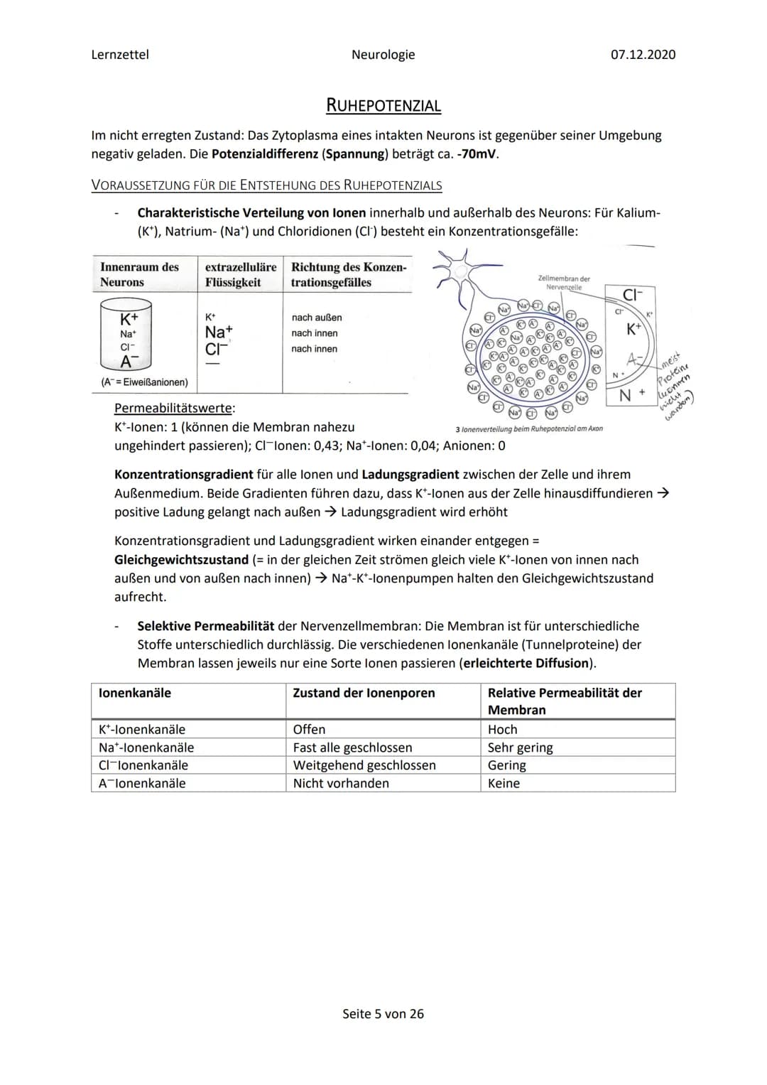 Lernzettel
Inhalt
Glossar
Elektrochemische Vorgänge in Nervenzellen..
Bau und grundlegende Funktion einer Nervenzelle...
Ruhepotenzial......