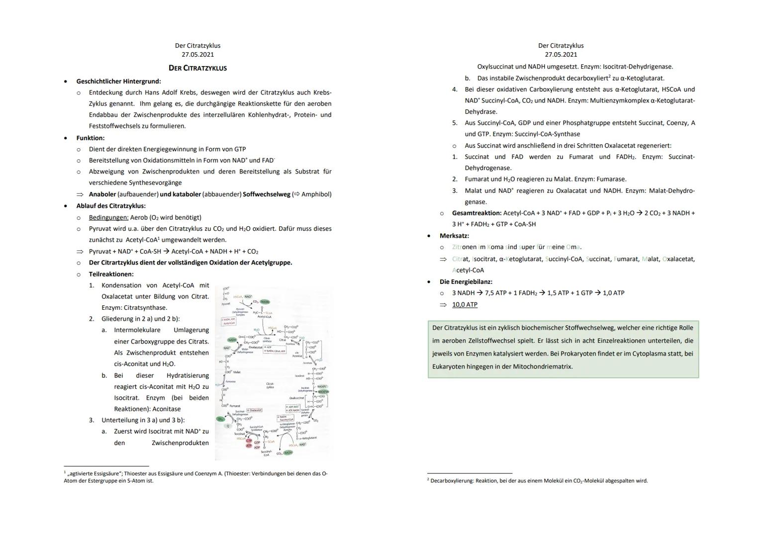 # Der Citratzyklus

von . Geschichtlicher Hintergrund:
O Entdeckung durch Hans Adolf Krebs, deswegen wird der Citratzyklus auch Krebs-
Zyklu