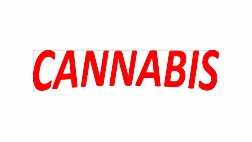  CANNABIS Cannabis
WER PRÄSENTIERT GERADE?
Person
1
Person
2 Cannabis Startseite Serien Filme Kürzlich hinzugefügt Meine Liste
Inhaltsverzei