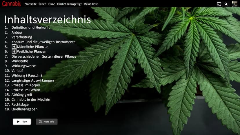  CANNABIS Cannabis
WER PRÄSENTIERT GERADE?
Person
1
Person
2 Cannabis Startseite Serien Filme Kürzlich hinzugefügt Meine Liste
Inhaltsverzei