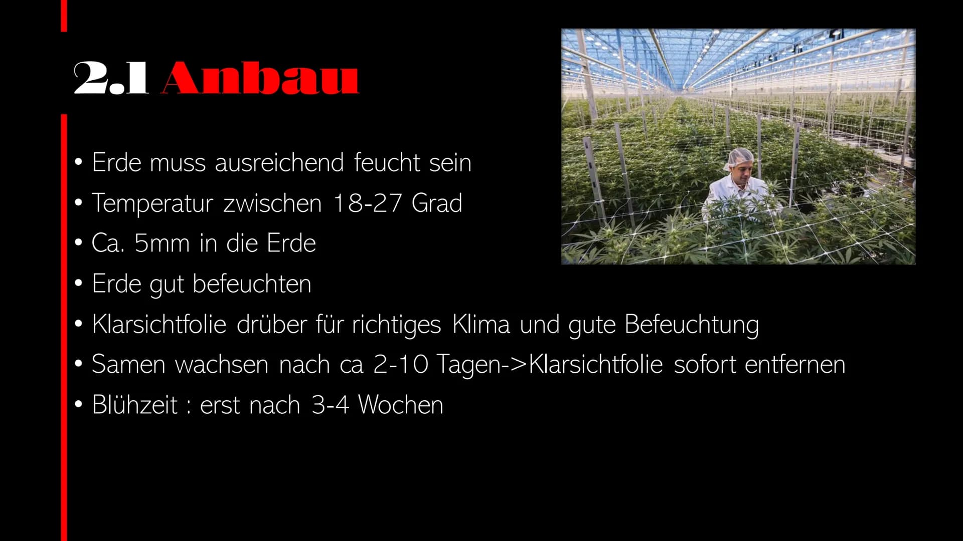  CANNABIS Cannabis
WER PRÄSENTIERT GERADE?
Person
1
Person
2 Cannabis Startseite Serien Filme Kürzlich hinzugefügt Meine Liste
Inhaltsverzei