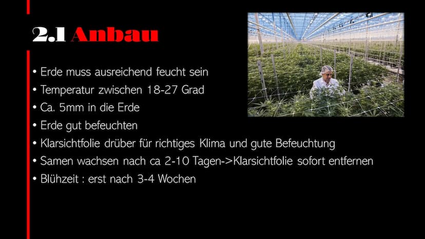  CANNABIS Cannabis
WER PRÄSENTIERT GERADE?
Person
1
Person
2 Cannabis Startseite Serien Filme Kürzlich hinzugefügt Meine Liste
Inhaltsverzei