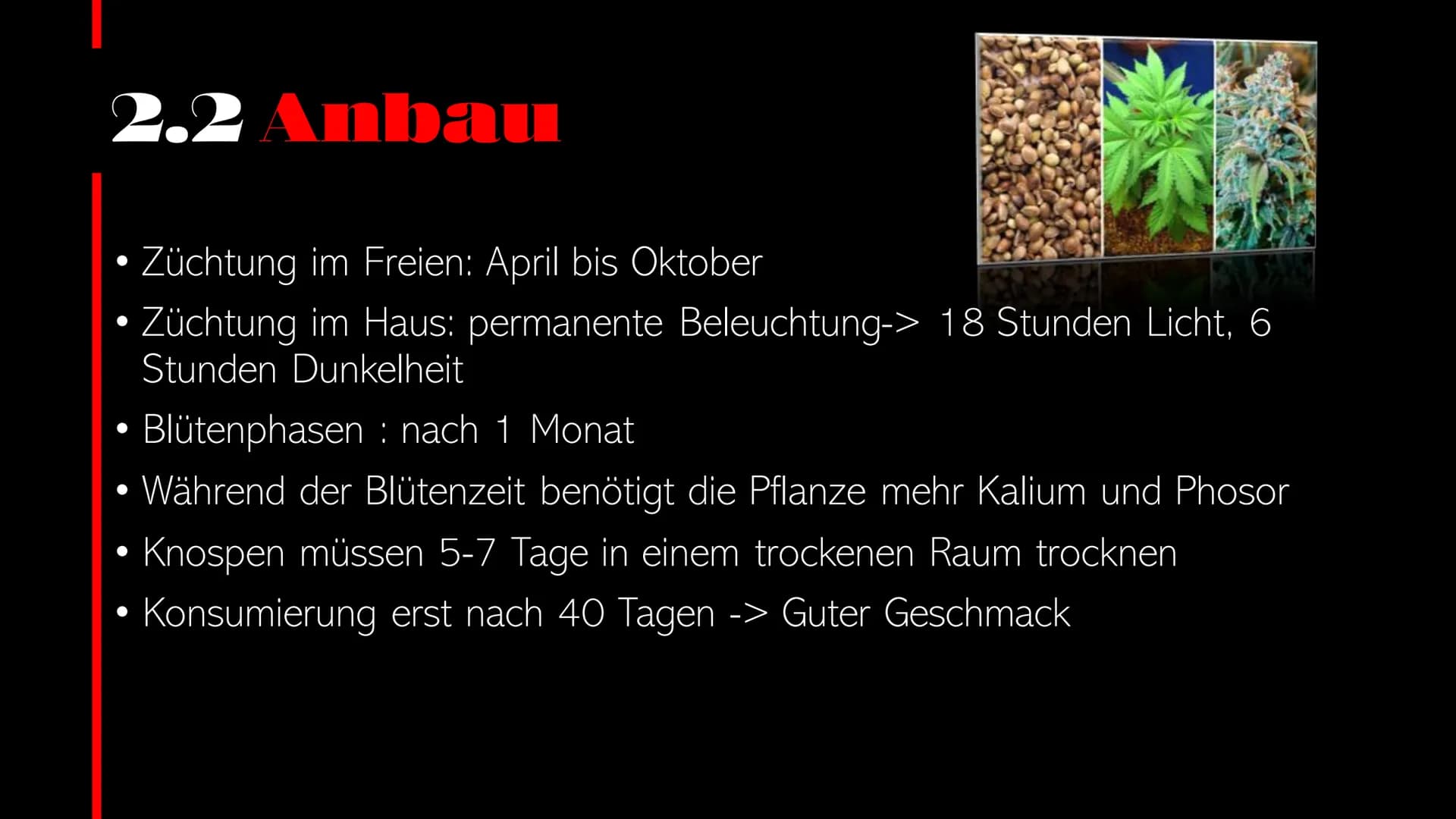  CANNABIS Cannabis
WER PRÄSENTIERT GERADE?
Person
1
Person
2 Cannabis Startseite Serien Filme Kürzlich hinzugefügt Meine Liste
Inhaltsverzei