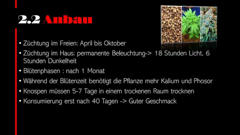  CANNABIS Cannabis
WER PRÄSENTIERT GERADE?
Person
1
Person
2 Cannabis Startseite Serien Filme Kürzlich hinzugefügt Meine Liste
Inhaltsverzei