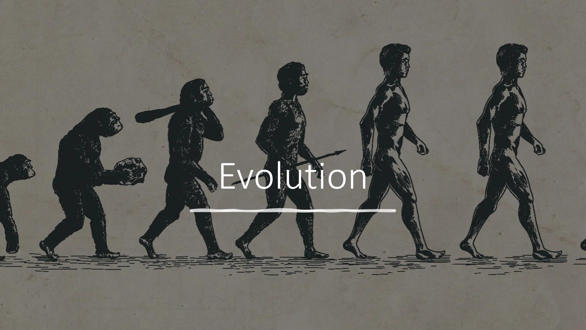 優惠
Evolution Gliederung
-Was bedeutet Evolution?
-Aristoteles
-Carl Linné
-Georges Cuvier
-Louis Pasteur
-Jean Baptiste Lamarck
-Charles Dar