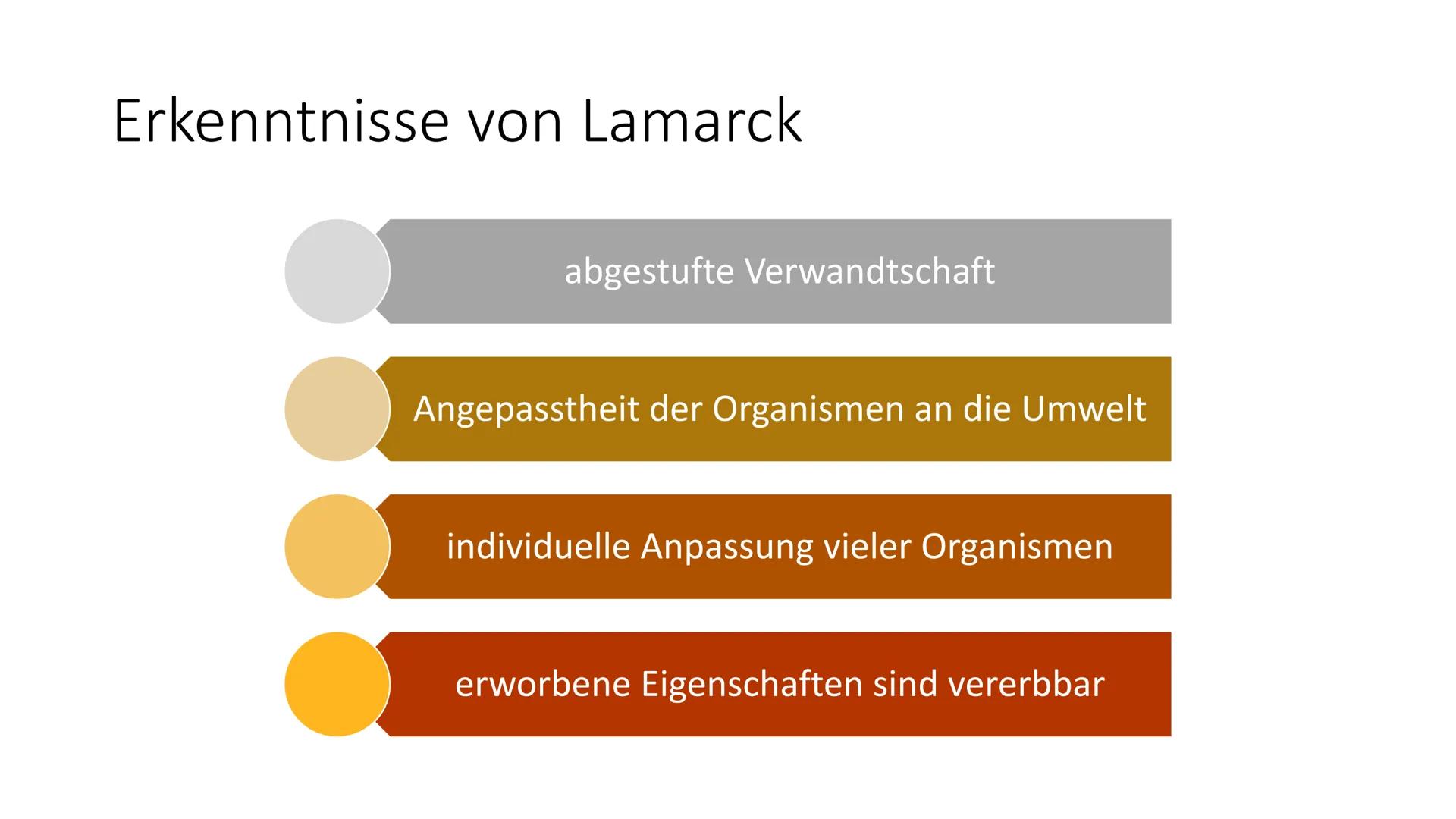 優惠
Evolution Gliederung
-Was bedeutet Evolution?
-Aristoteles
-Carl Linné
-Georges Cuvier
-Louis Pasteur
-Jean Baptiste Lamarck
-Charles Dar