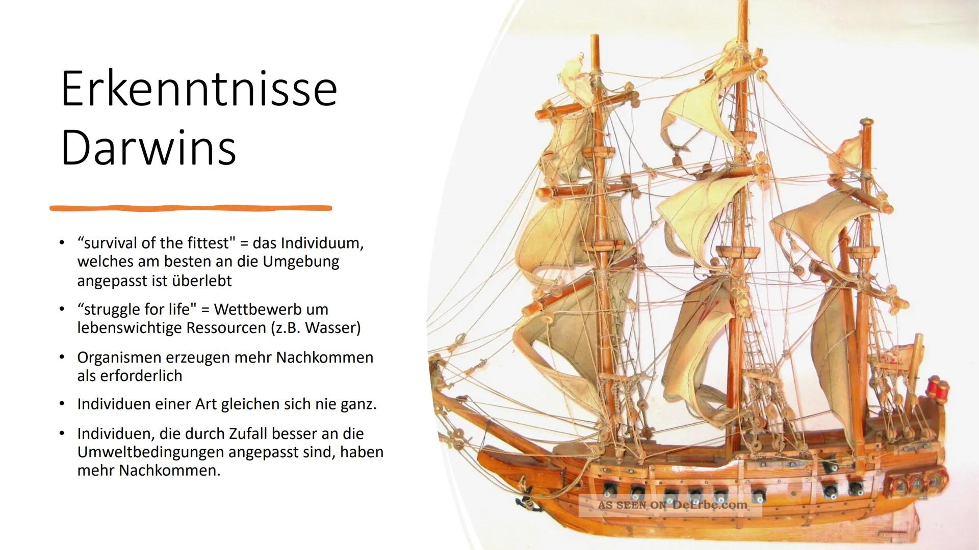 優惠
Evolution Gliederung
-Was bedeutet Evolution?
-Aristoteles
-Carl Linné
-Georges Cuvier
-Louis Pasteur
-Jean Baptiste Lamarck
-Charles Dar