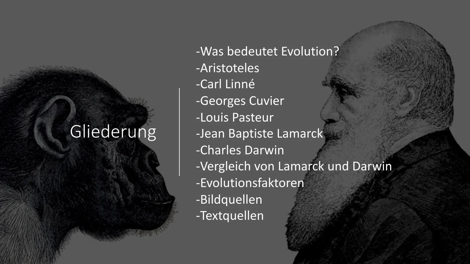 優惠
Evolution Gliederung
-Was bedeutet Evolution?
-Aristoteles
-Carl Linné
-Georges Cuvier
-Louis Pasteur
-Jean Baptiste Lamarck
-Charles Dar