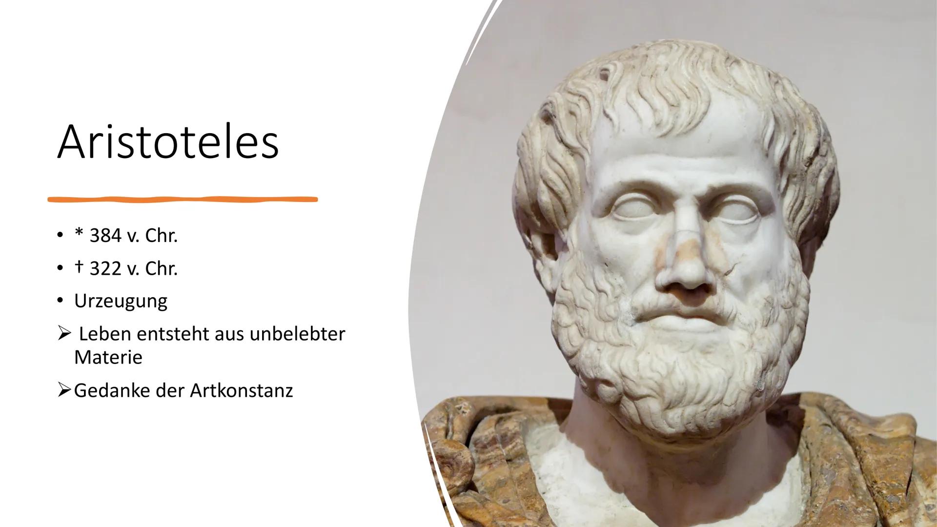 優惠
Evolution Gliederung
-Was bedeutet Evolution?
-Aristoteles
-Carl Linné
-Georges Cuvier
-Louis Pasteur
-Jean Baptiste Lamarck
-Charles Dar