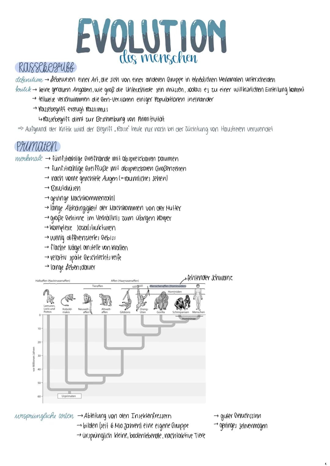 Rassebegriff
definition → Lebewesen einer Art, die sich von einer anderen Gruppe in erheblichen Merkmalen unterscheiden
kritik → keine genau
