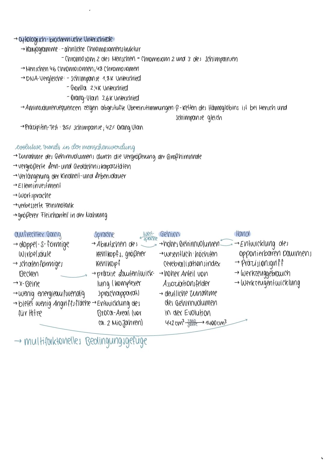 Rassebegriff
definition → Lebewesen einer Art, die sich von einer anderen Gruppe in erheblichen Merkmalen unterscheiden
kritik → keine genau