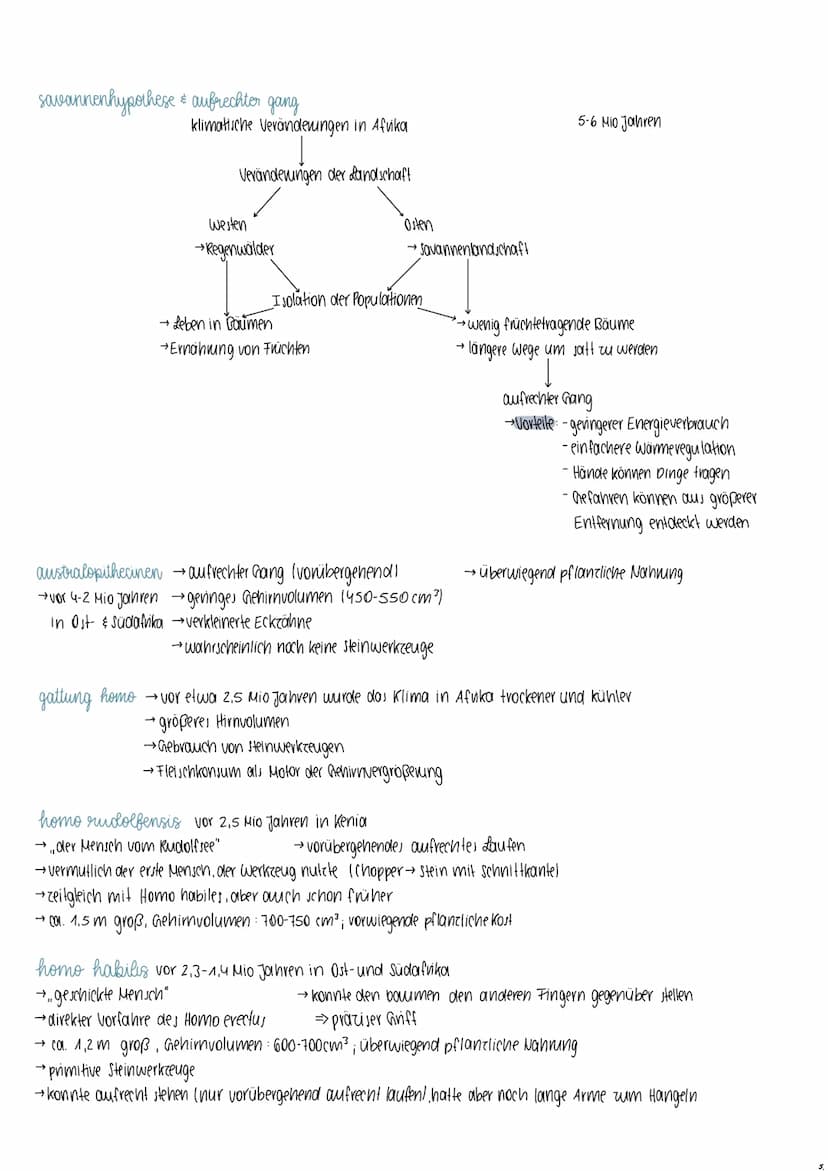 Rassebegriff
definition → Lebewesen einer Art, die sich von einer anderen Gruppe in erheblichen Merkmalen unterscheiden
kritik → keine genau