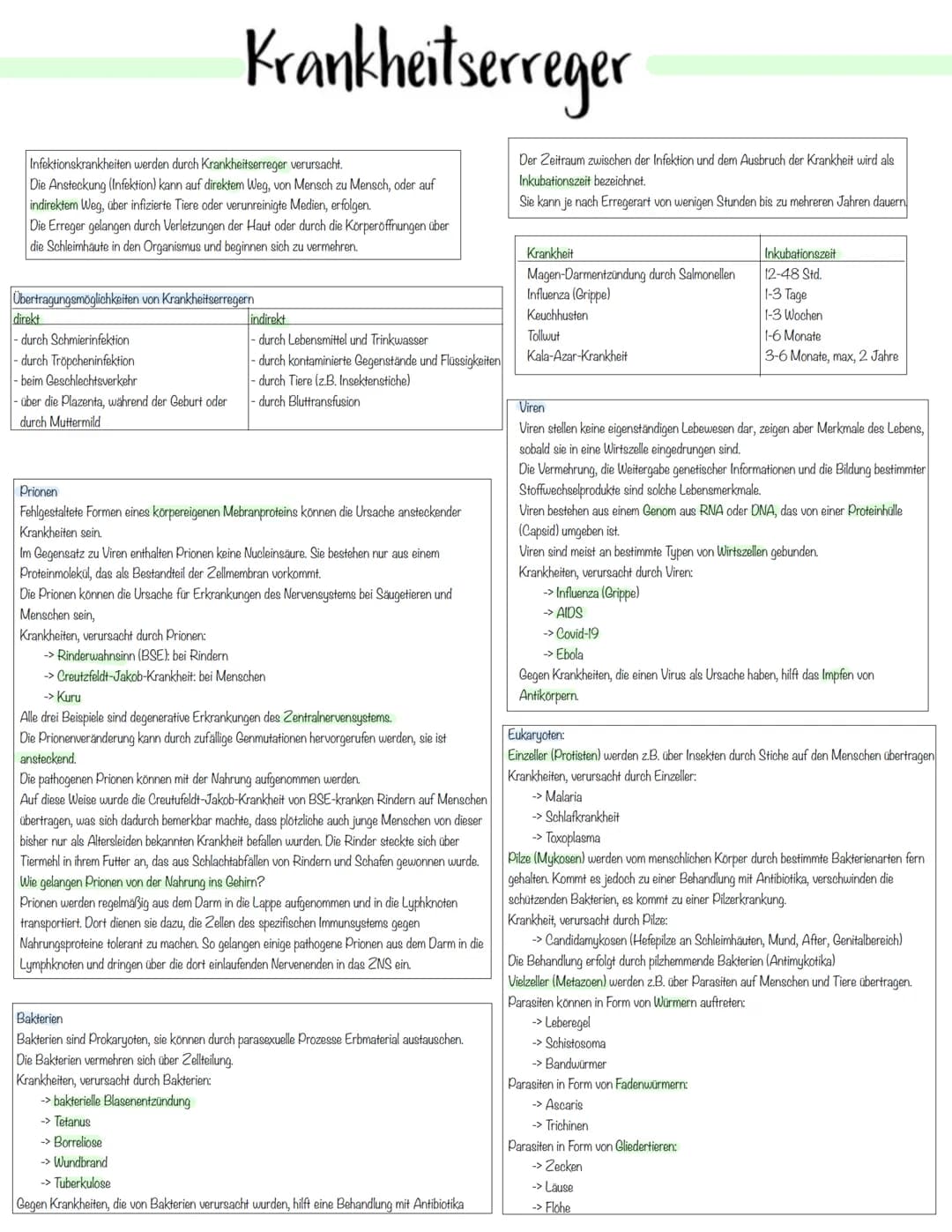 Immunbiologie Krankheitserreger
Infektionskrankheiten werden durch Krankheitserreger verursacht.
Die Ansteckung (Infektion) kann auf direkte