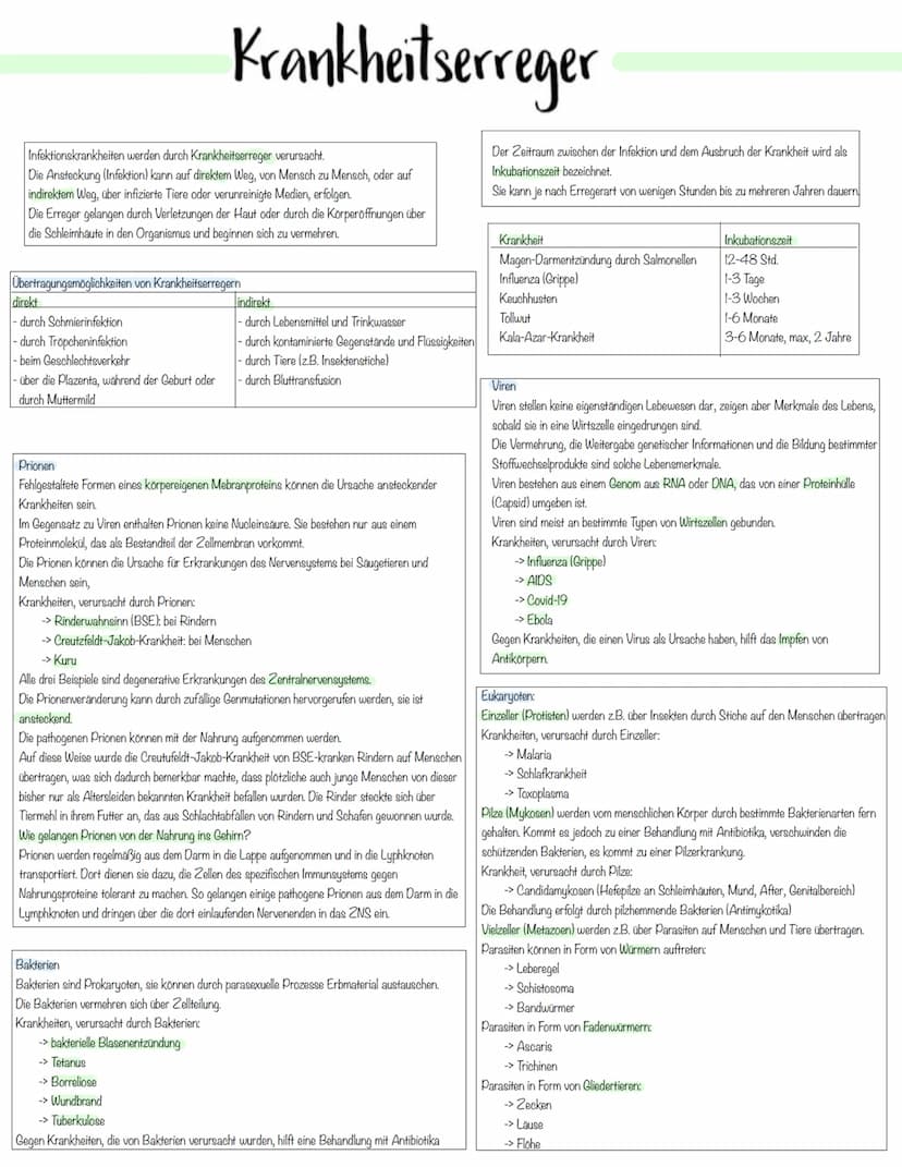 Immunbiologie Krankheitserreger
Infektionskrankheiten werden durch Krankheitserreger verursacht.
Die Ansteckung (Infektion) kann auf direkte