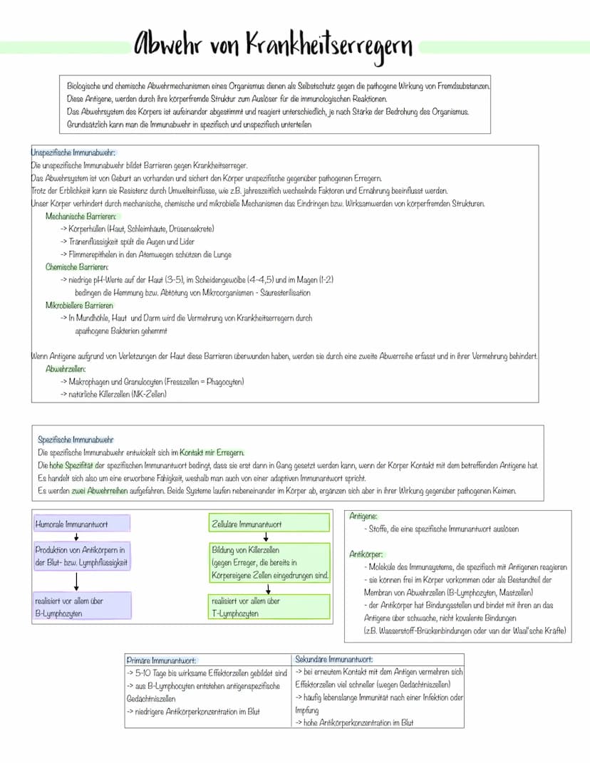 Immunbiologie Krankheitserreger
Infektionskrankheiten werden durch Krankheitserreger verursacht.
Die Ansteckung (Infektion) kann auf direkte