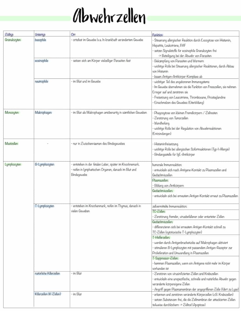 Immunbiologie Krankheitserreger
Infektionskrankheiten werden durch Krankheitserreger verursacht.
Die Ansteckung (Infektion) kann auf direkte