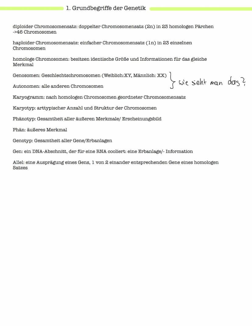 Klausur Genetik
1. Grundbegriffe der Genetik
Humangenetik
2. Mitose und Meiose
3.Gemeinsamkeiten und Unterschiede (Mitose & Meiose)-> Inter-